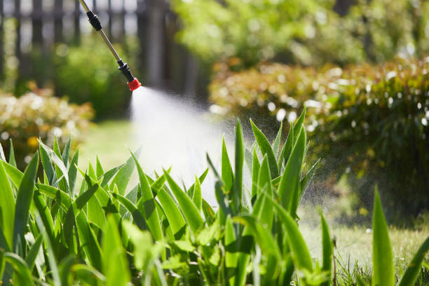 24/7 Emergency Mosquito Control experts in Connersville, IN